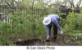  Manual Labor Jobs:
