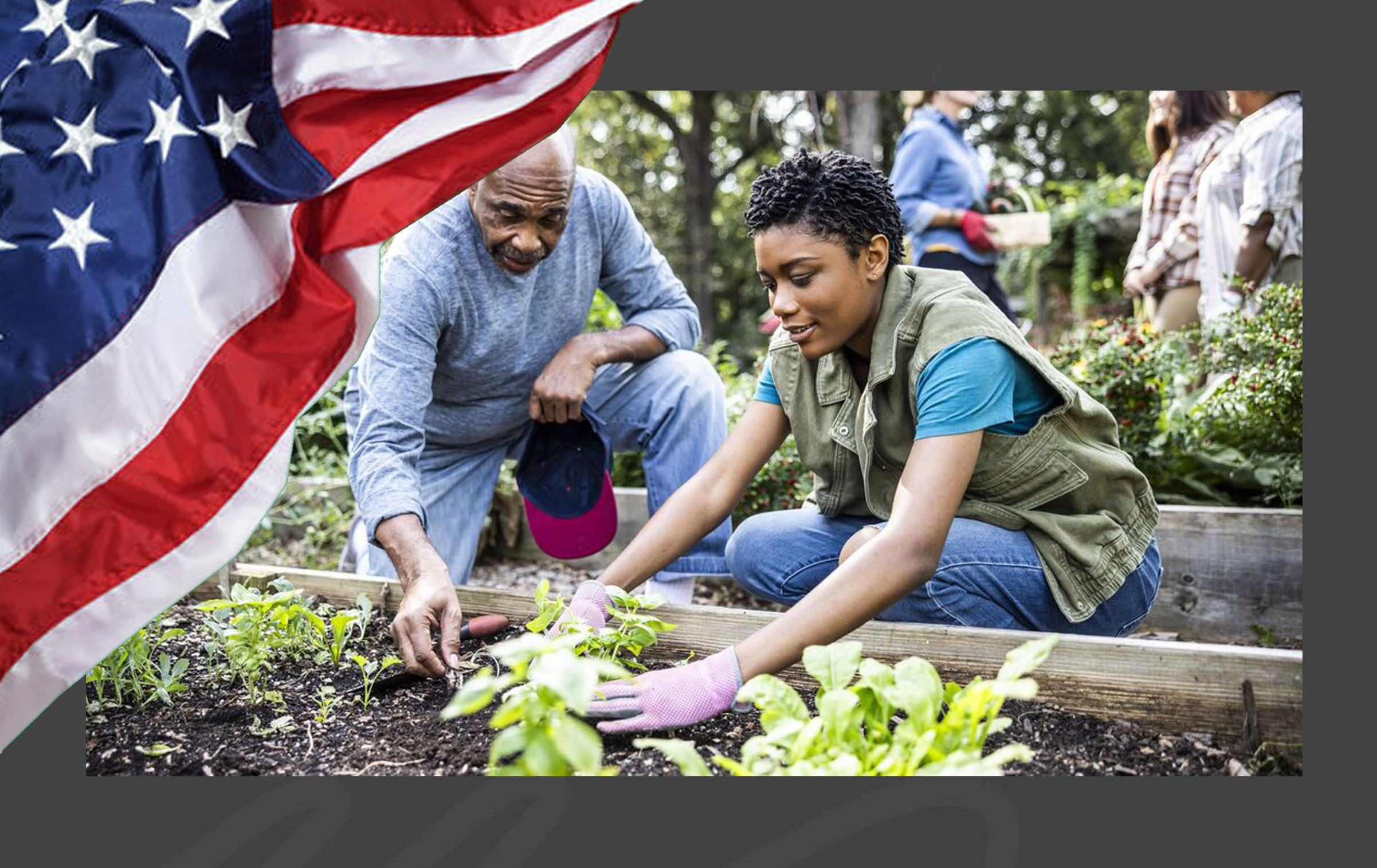 Gardener Job in the USA with Visa Sponsorship