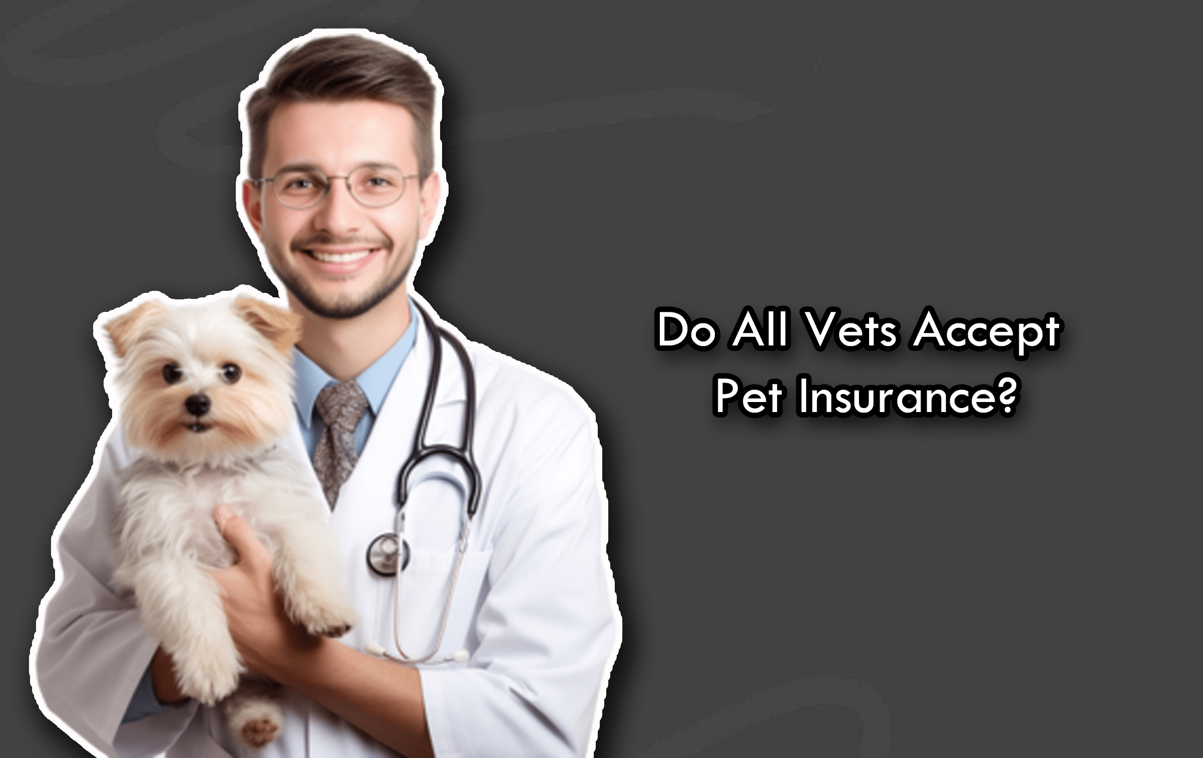 Do All Vets Accept Pet Insurance?