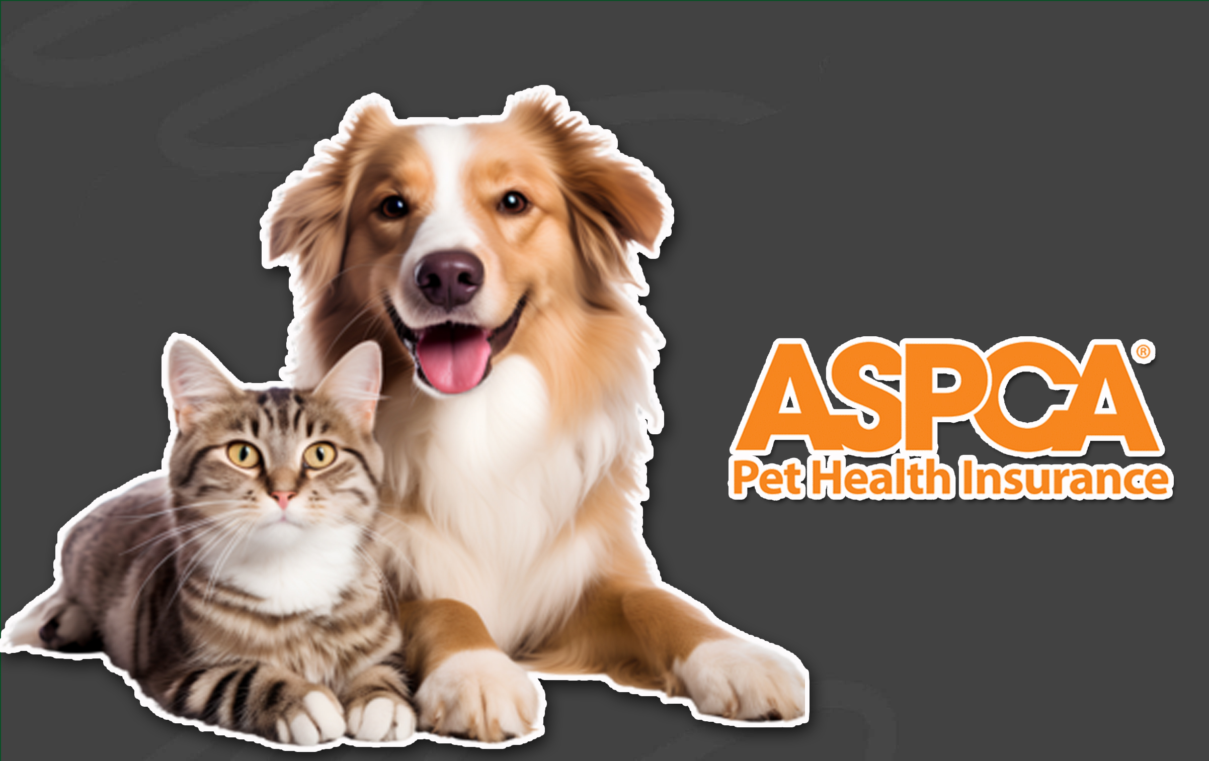 ASPCA Pet Insurance