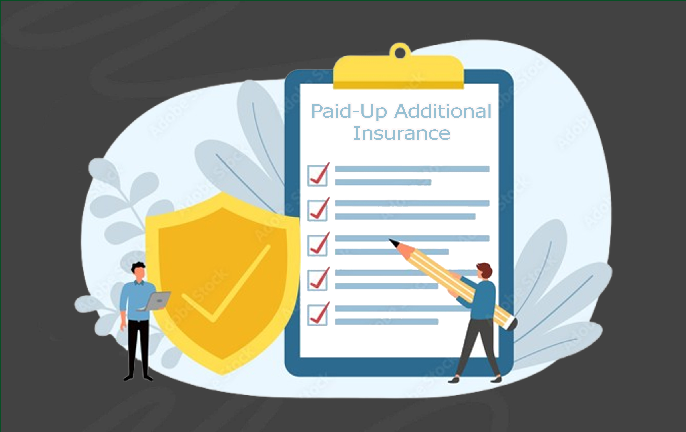 Paid-Up Additional Insurance