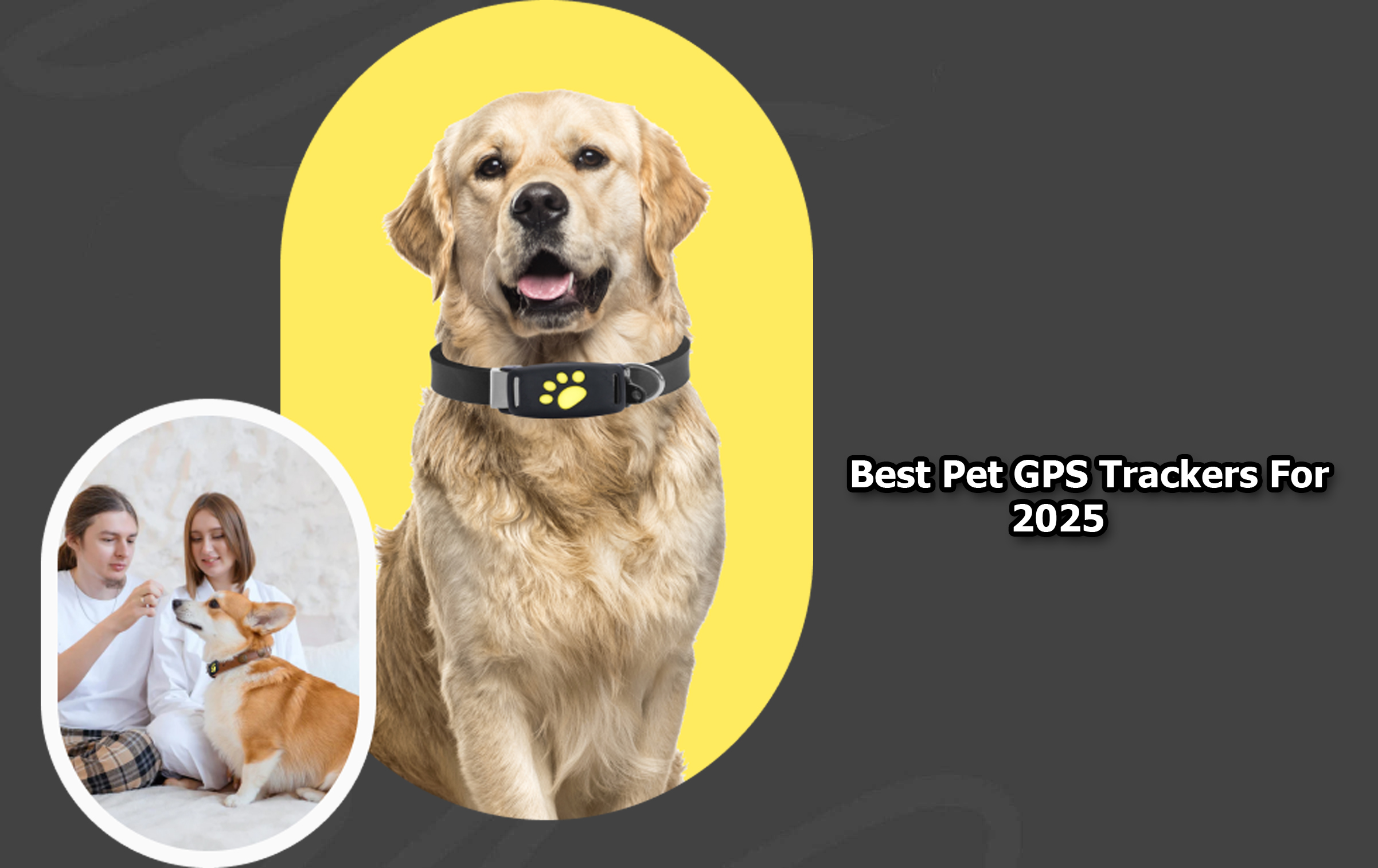 Best Pet GPS Trackers For 2025