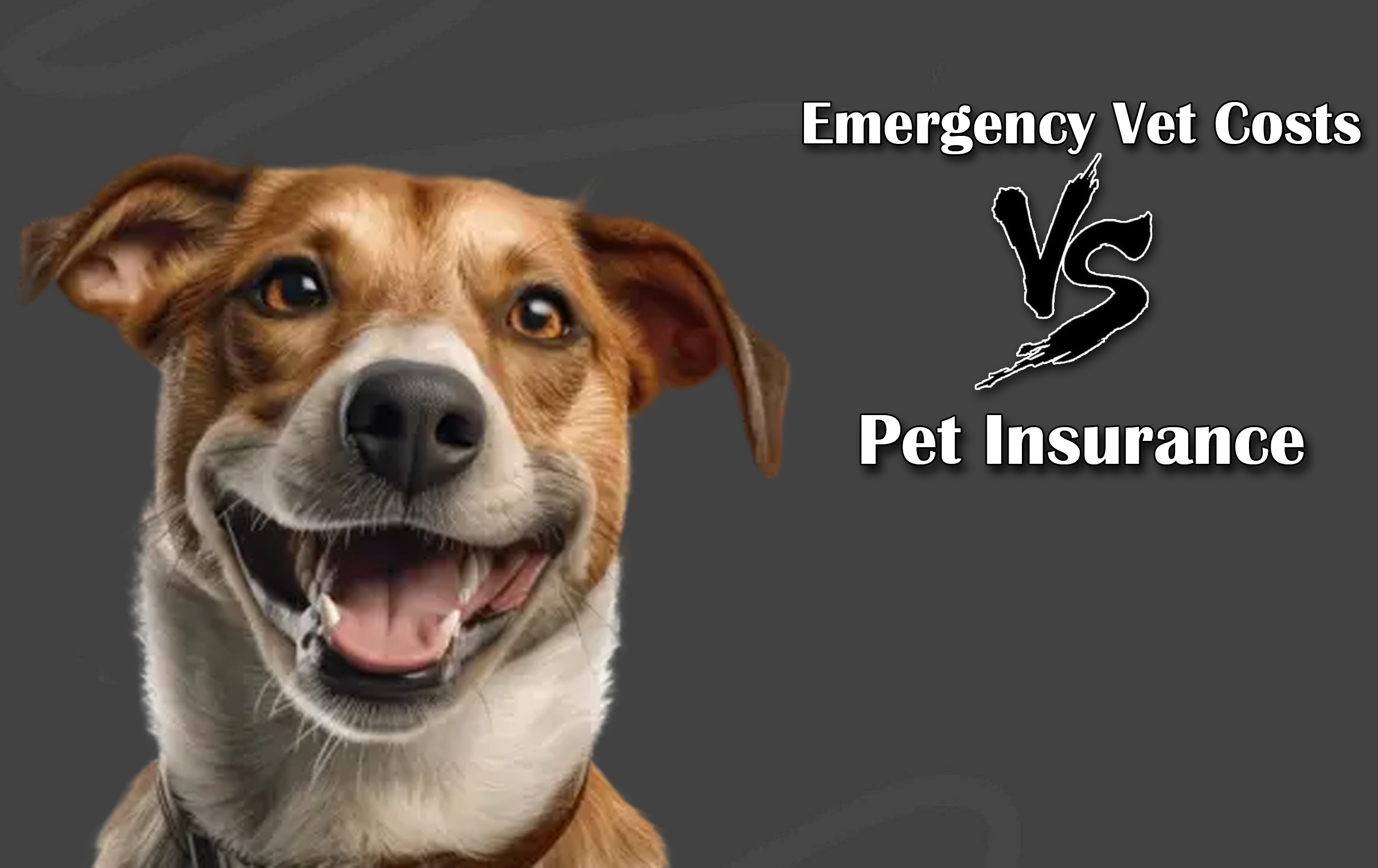 Emergency Vet Costs Vs. Pet Insurance