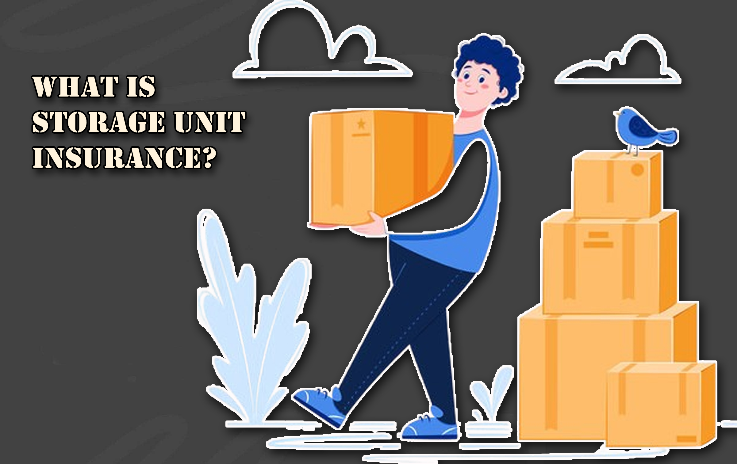 What Is Storage Unit Insurance?