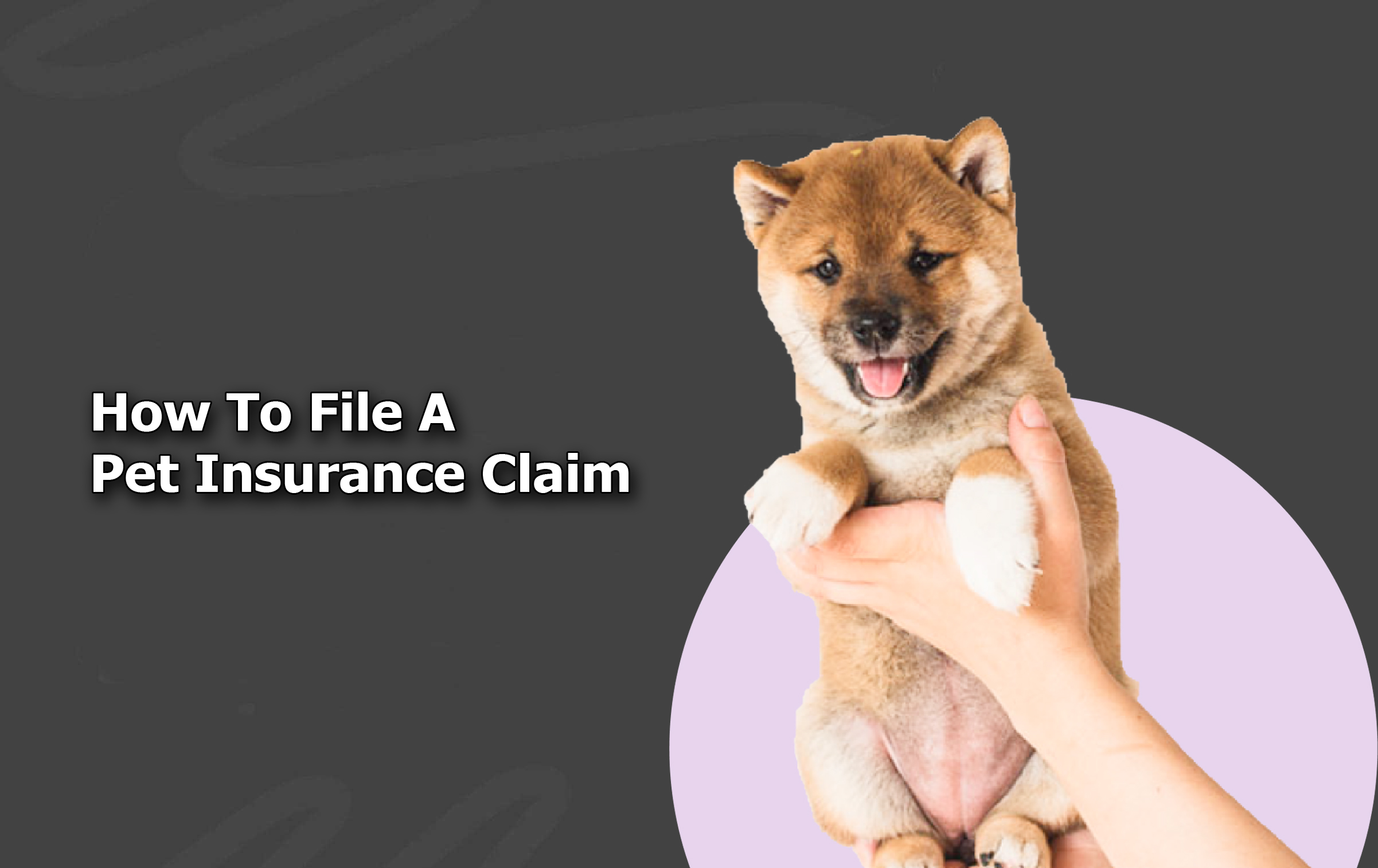 How To File A Pet Insurance Claim