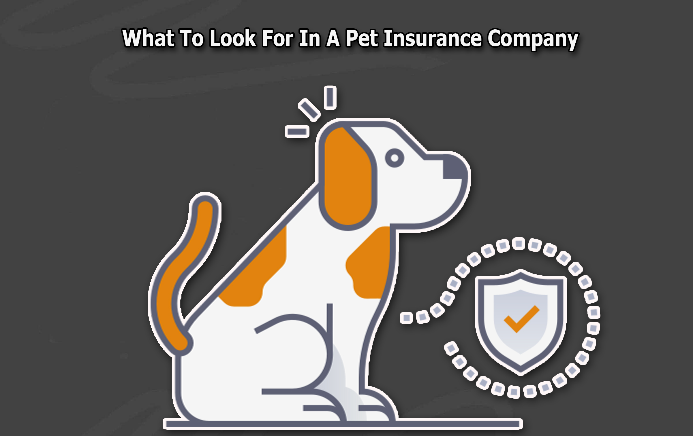 What To Look For In A Pet Insurance Company