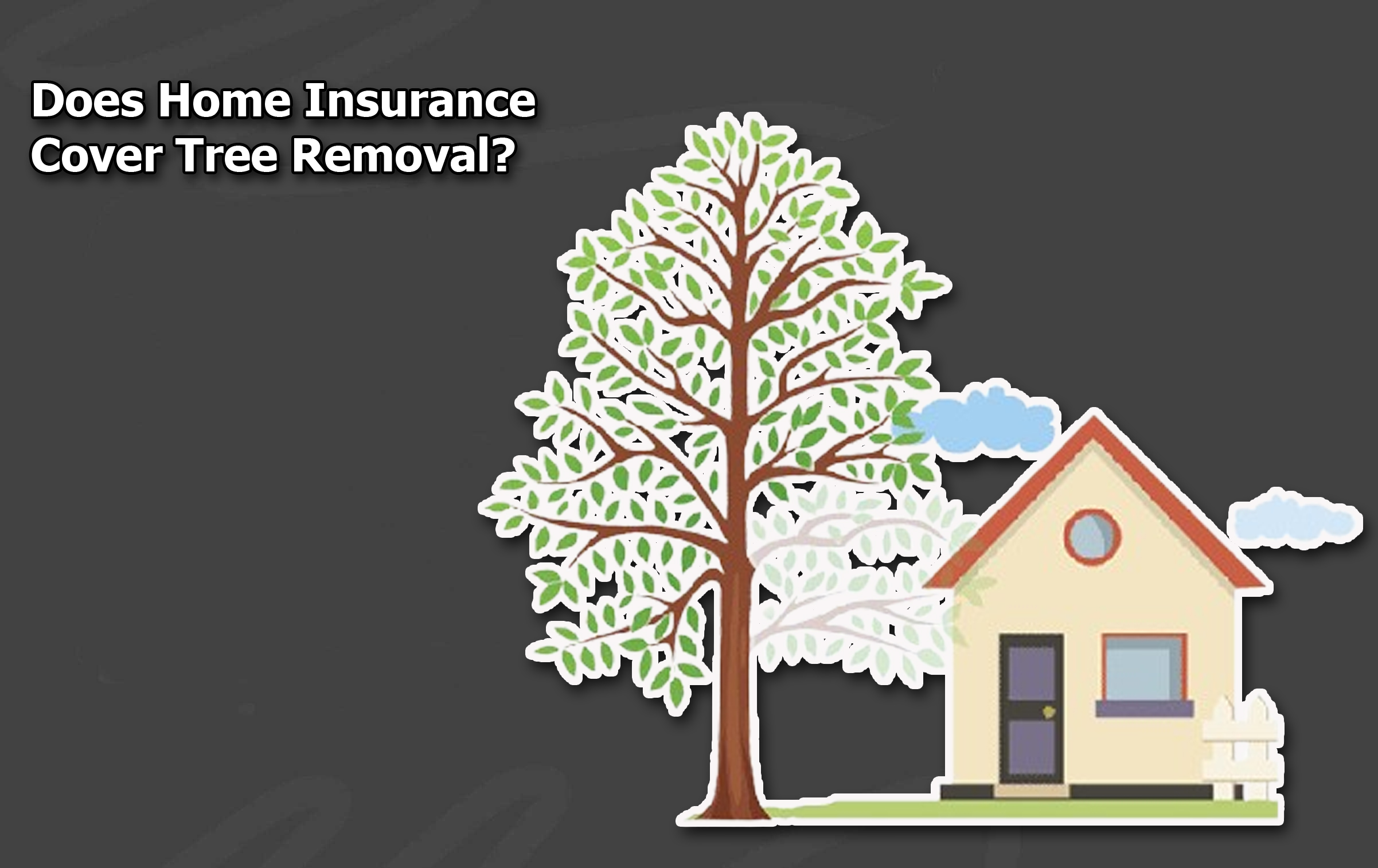 Does Home Insurance Cover Tree Removal?