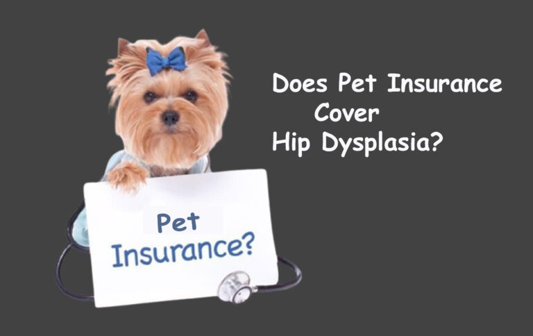 Does Pet Insurance Cover Hip Dysplasia?