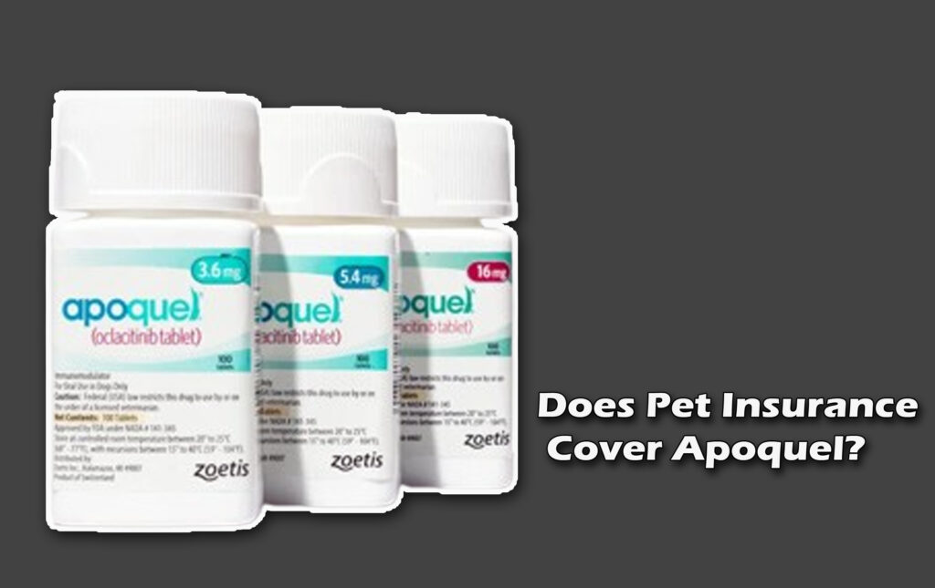 Does Pet Insurance Cover Apoquel?