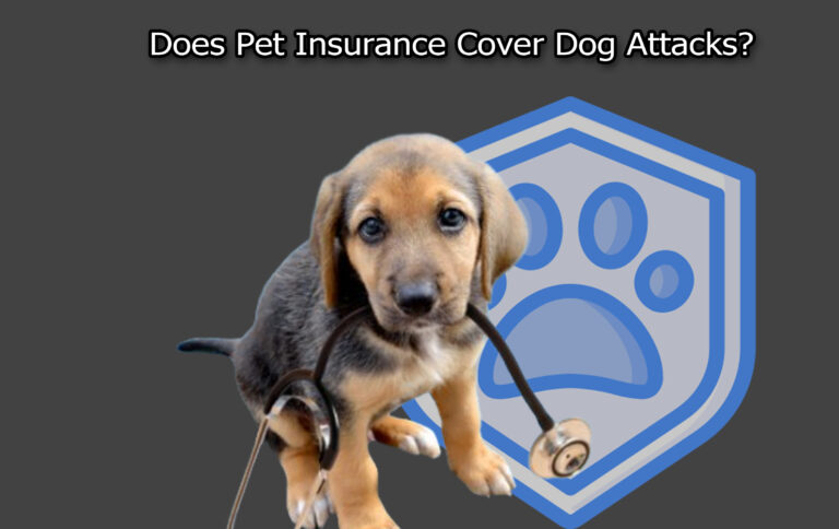 Does Pet Insurance Cover Dog Attacks?