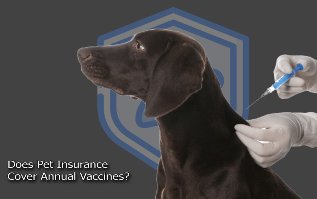 Does Pet Insurance Cover Annual Vaccines?