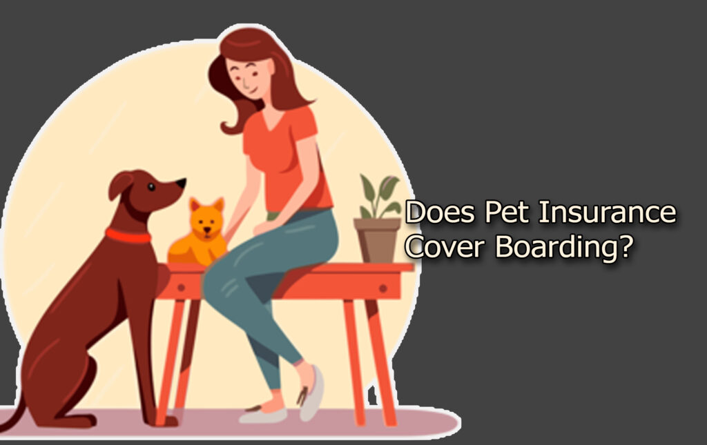 Does Pet Insurance Cover Boarding?