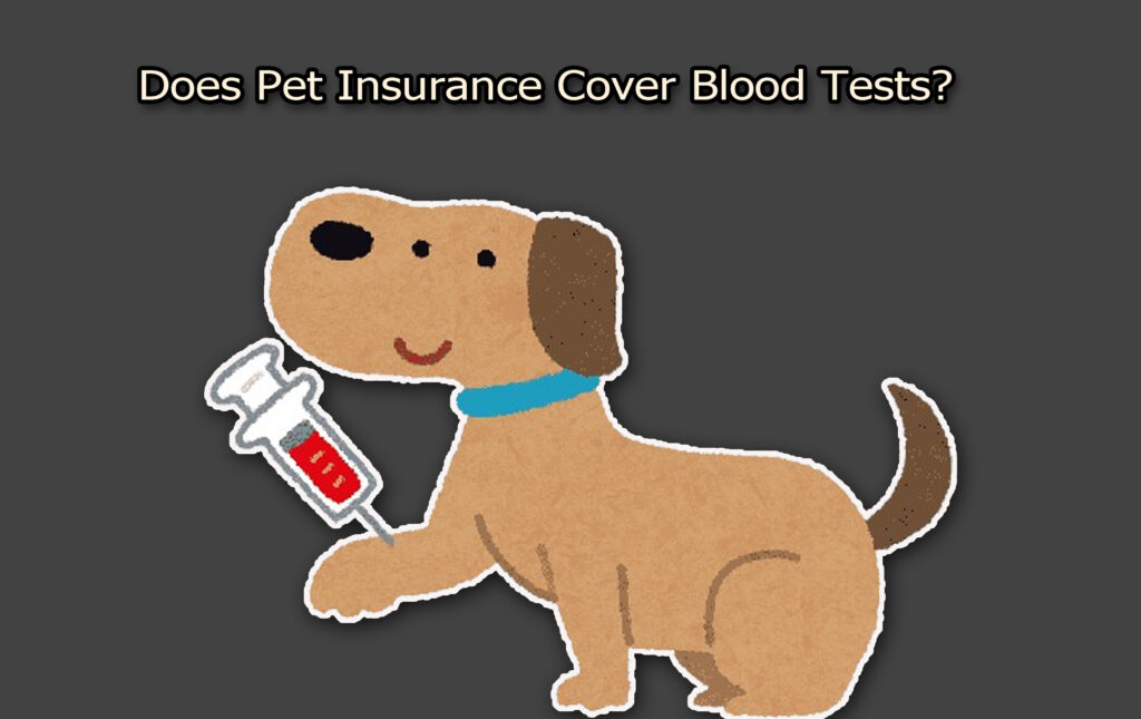 Does Pet Insurance Cover Blood Tests?