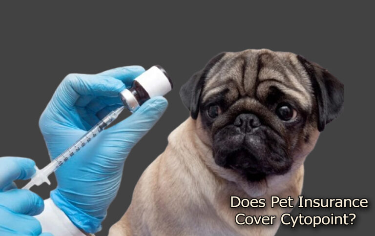 Does Pet Insurance Cover Cytopoint? Does Pet Insurance Cover Cytopoint?