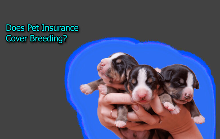 Does Pet Insurance Cover Breeding?