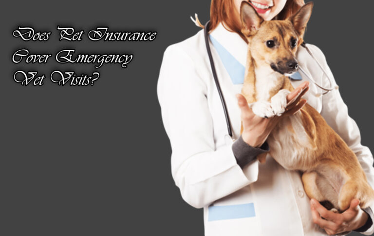 Does Pet Insurance Cover Emergency Vet Visits?